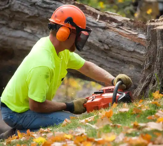 tree services Lawndale